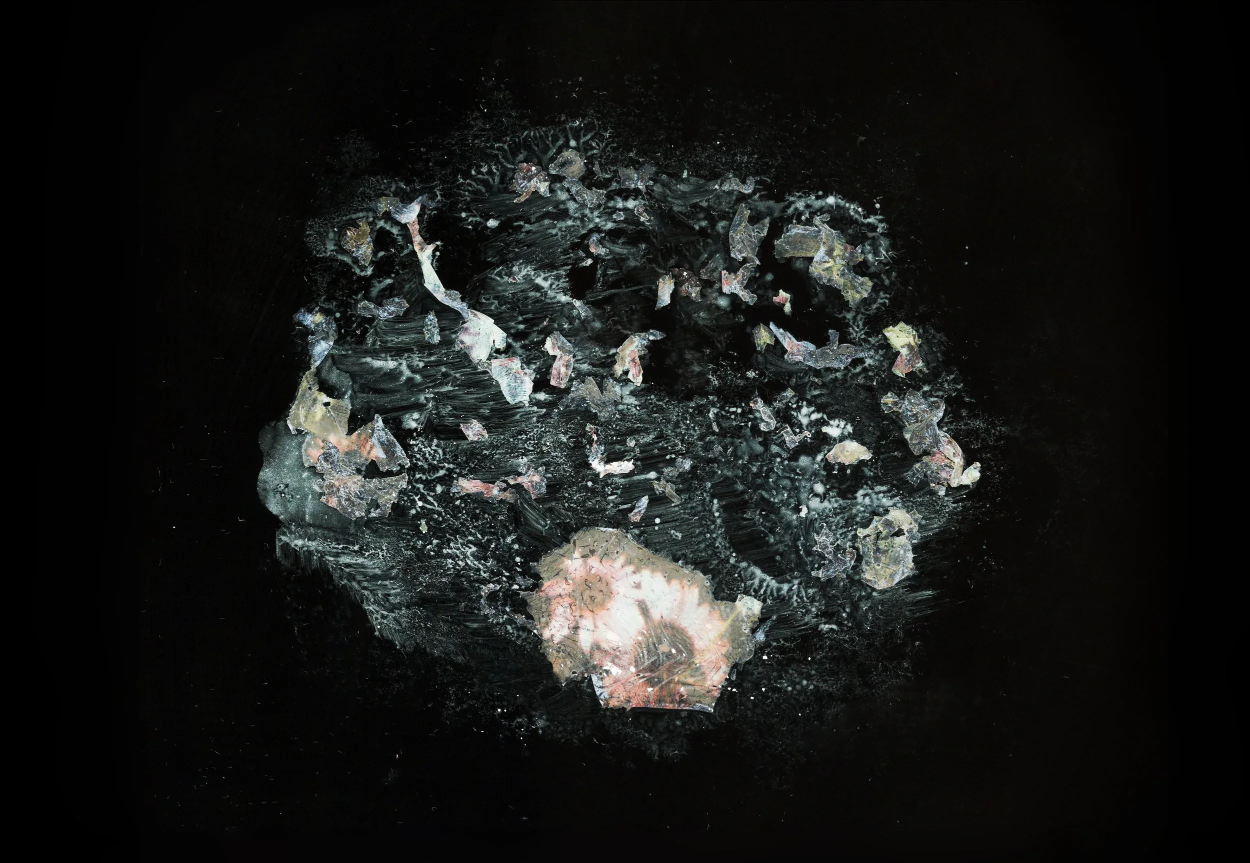 Polaroid Decomposition