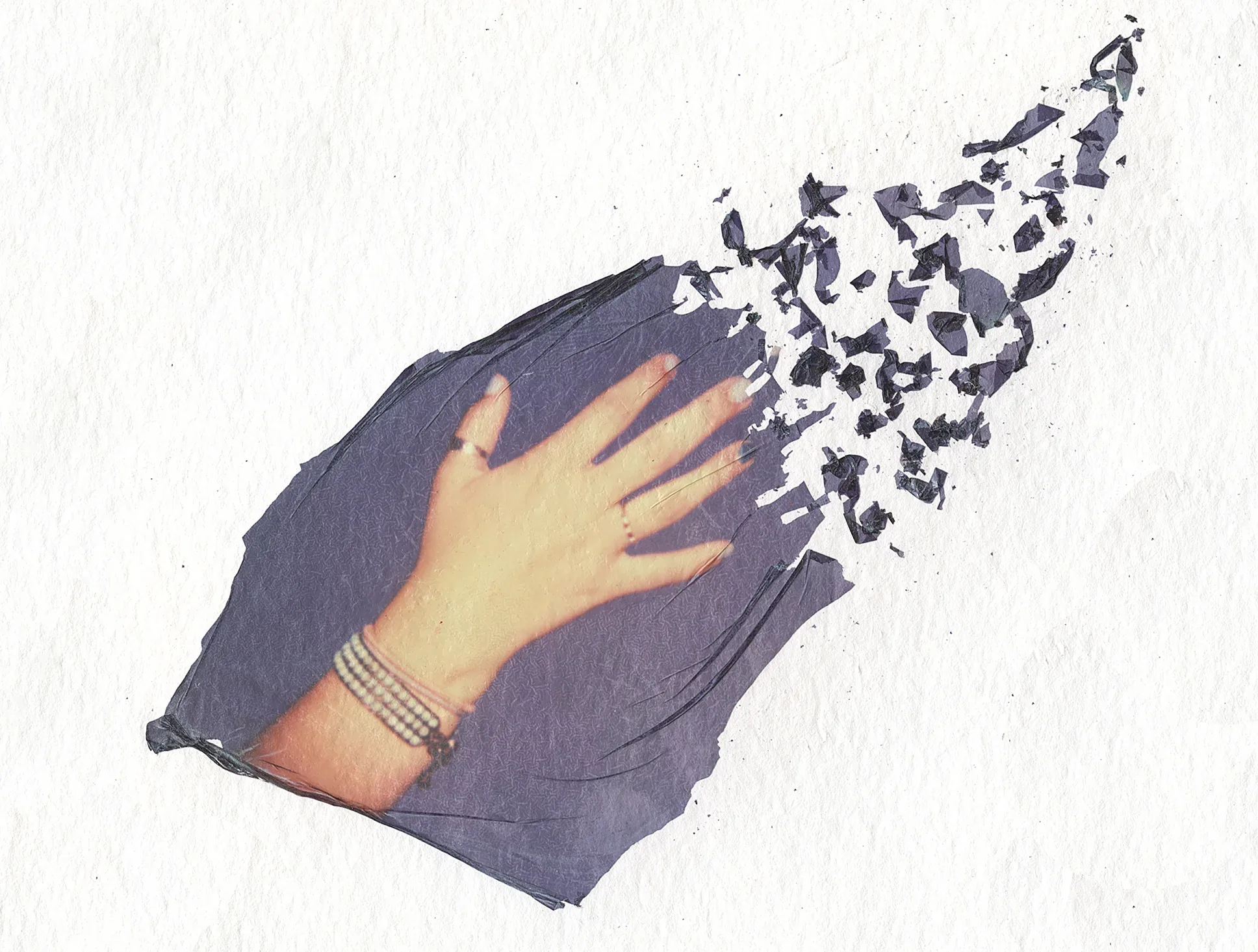 Polaroid Decomposition