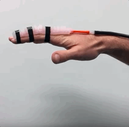 Fingbot