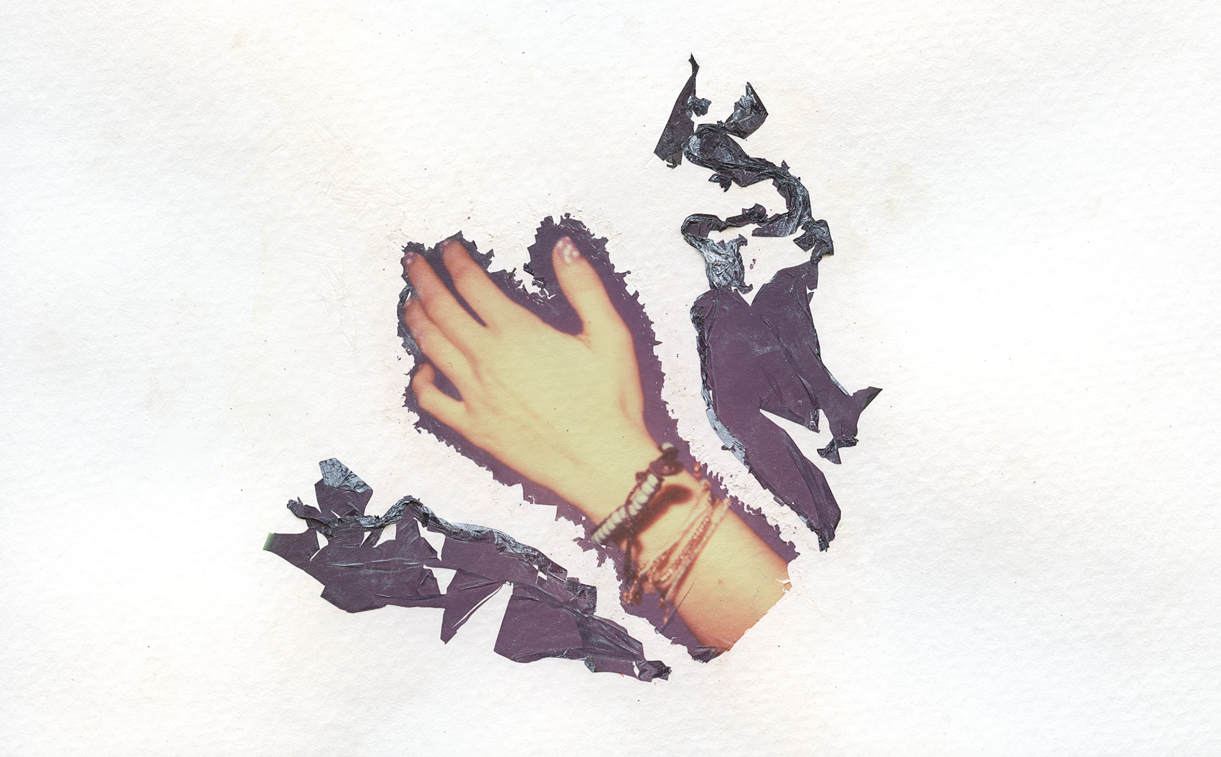 Polaroid Decomposition