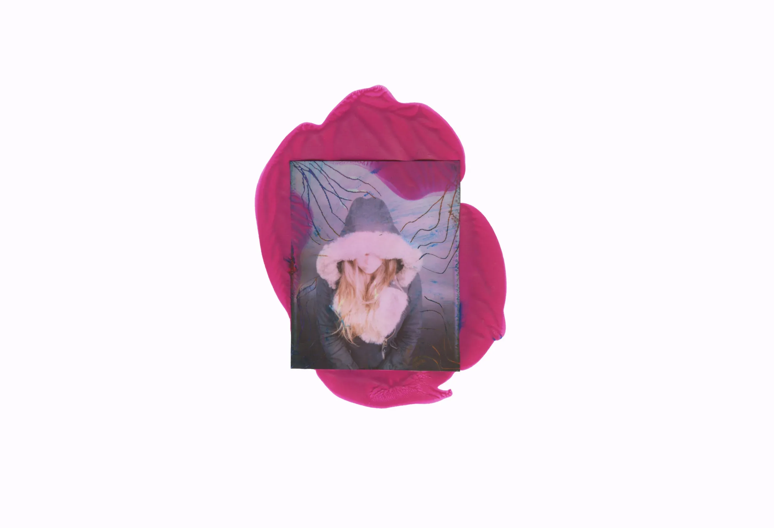 Polaroid Decomposition